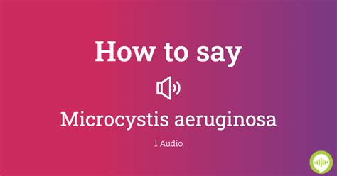 aeruginosa pronunciation